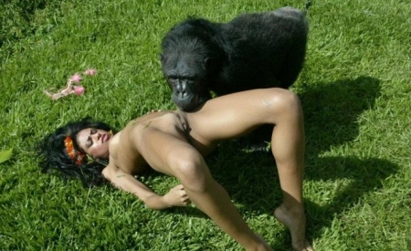 секс обезьяна, девки трахаются с горилой