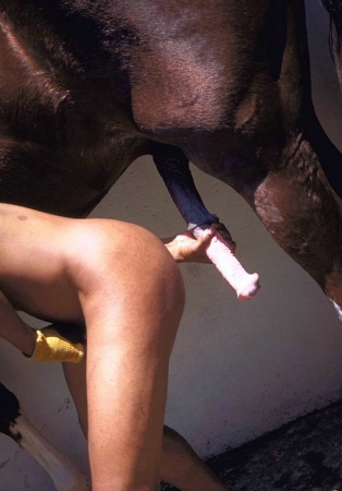 Конь размял жопу пассивному негру фото секс зоо