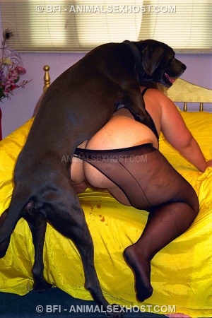 Возбужденный пес насадил на кукан жирную хозяйку зоо фото порно
