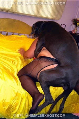 Возбужденный пес насадил на кукан жирную хозяйку зоо фото порно