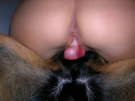 Фото порно зоо рисунки с возбужденными собаками собачками