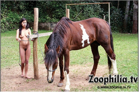 Конь ебет мулатку на порно фото зоо для мобильного