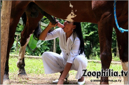 Зоофото порно минет лошадке во дворе перед обедом