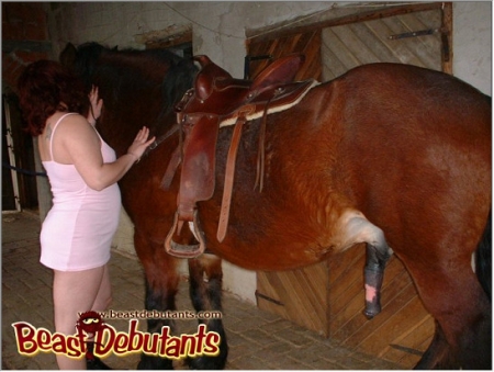 Упитанная дама в платье сосет лошадке по утрам фото порнозоо