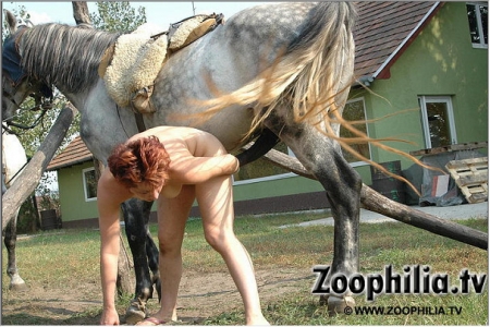 Старушка размяла вагину на лошадином хую фото зоо порно лучшее