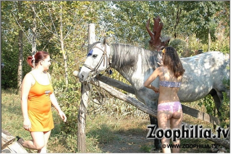 Подружки из деревни целуют конскую залупу фото зоо порно в качестве