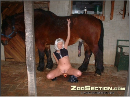 Питательная лошадиная сперма понравилась блондинке ххх фото зоо