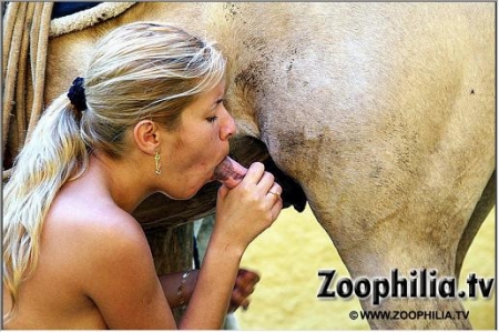 Пососала коню и дала в писю фоточки порно зоо реальное