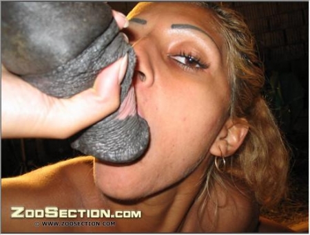 Лошадь трахает в рот блондинку порно фото зоофилии скачать