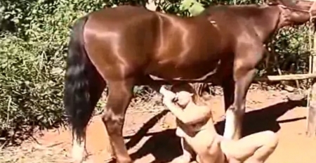 Зоо порно фотографии отсос коню на природе