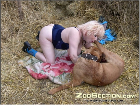 Animal sex спелая блондинка ласкает писюн дога фотки зоо настоящие