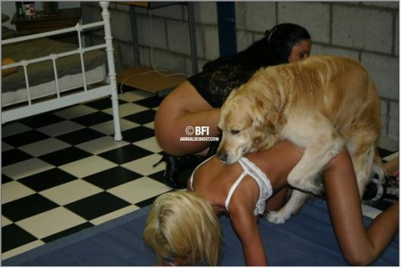 Фото порно зоо минет собаке и классическая ебля