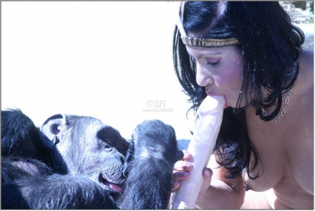 Зоофилка дала обезьяне полизать писечку порно фото зоо скачать онлайн