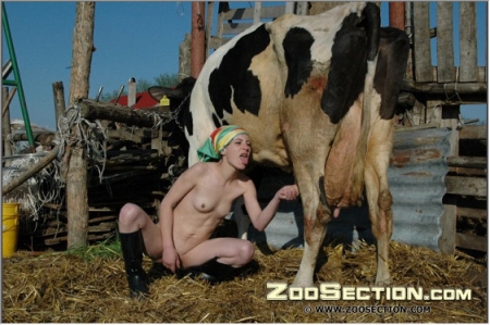 Скотоложница онанирует шмоньку и тащит корову за сиськи фотки порнозоо порево