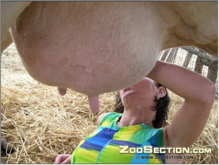 Сексуальная кроха мнет корову за титьки зоо фотографии изящные