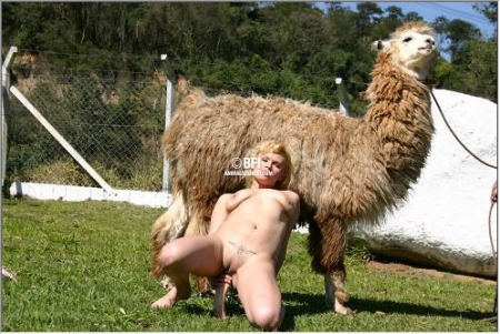 Привлекательная верблюдиха взирает как дрочит зоофилка картинки порно зоо