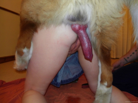 Порно фото зоо крупно хуй собаки в пизде девушк