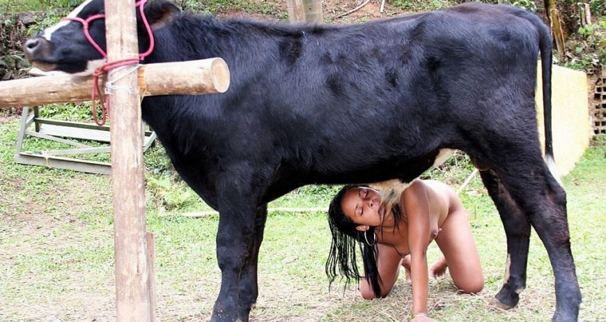 Латинская зоофилка устроила зоосекс с быком смотрите порно фото онлайн