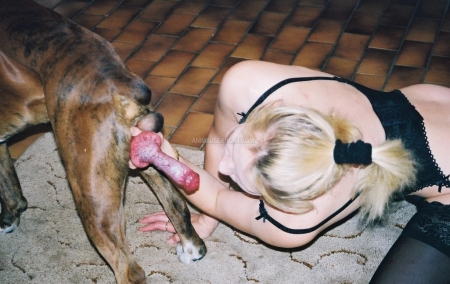 Матерая зоофилка успевает подрочить пизду и заняться сексом с собакой