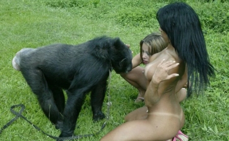 Симпатичные девчонки с бритыми письками устроили секс с обезьяной