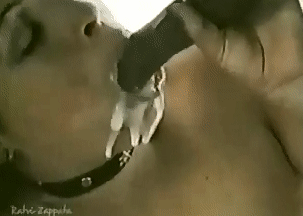 Сперма коня выливается из ротика шлюхи когда она смачно сосет