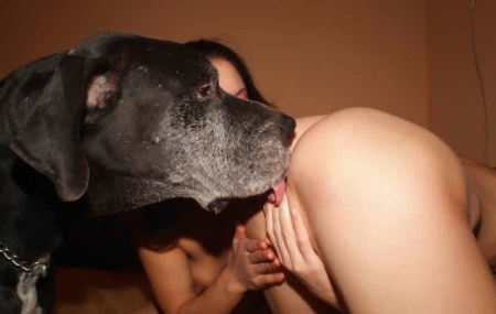 Порно зоо с собакой - фото, молодые шалуньи порятся в письки