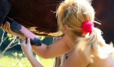 Порно фотки ебли с лошадкой - голые подружки устроили секс с конем
