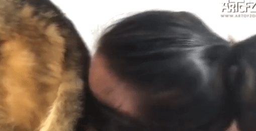 Телочка крепко берет писюн собаки в ротик - порно гиф зоо