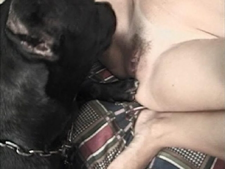 Шикарные порно фоточки заводного зоо секса с собакой