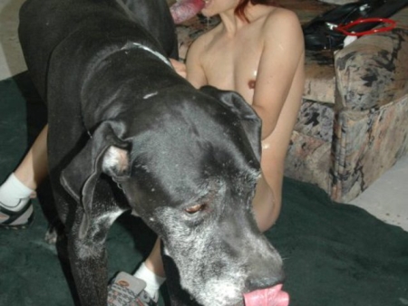 Шикарные порно фоточки заводного зоо секса с собакой